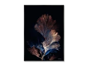 Репродукция картины на холсте Коралловая симфония в цвете ночи, No 2, 2025г.