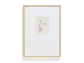 Картина Lirena с ботанической иллюстрацией 50 x 70 см