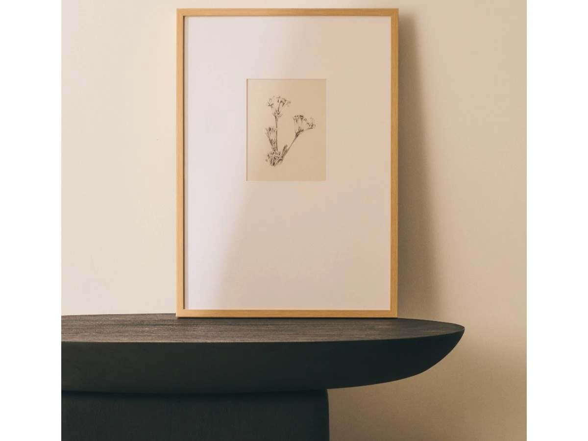 Картина Lirena с ботанической иллюстрацией 70 x 50 см 962109  - фото 3