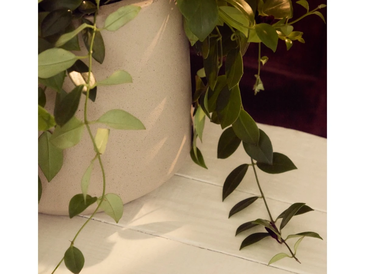 Кашпо Calun керамика бежевого 962191  - фото 4