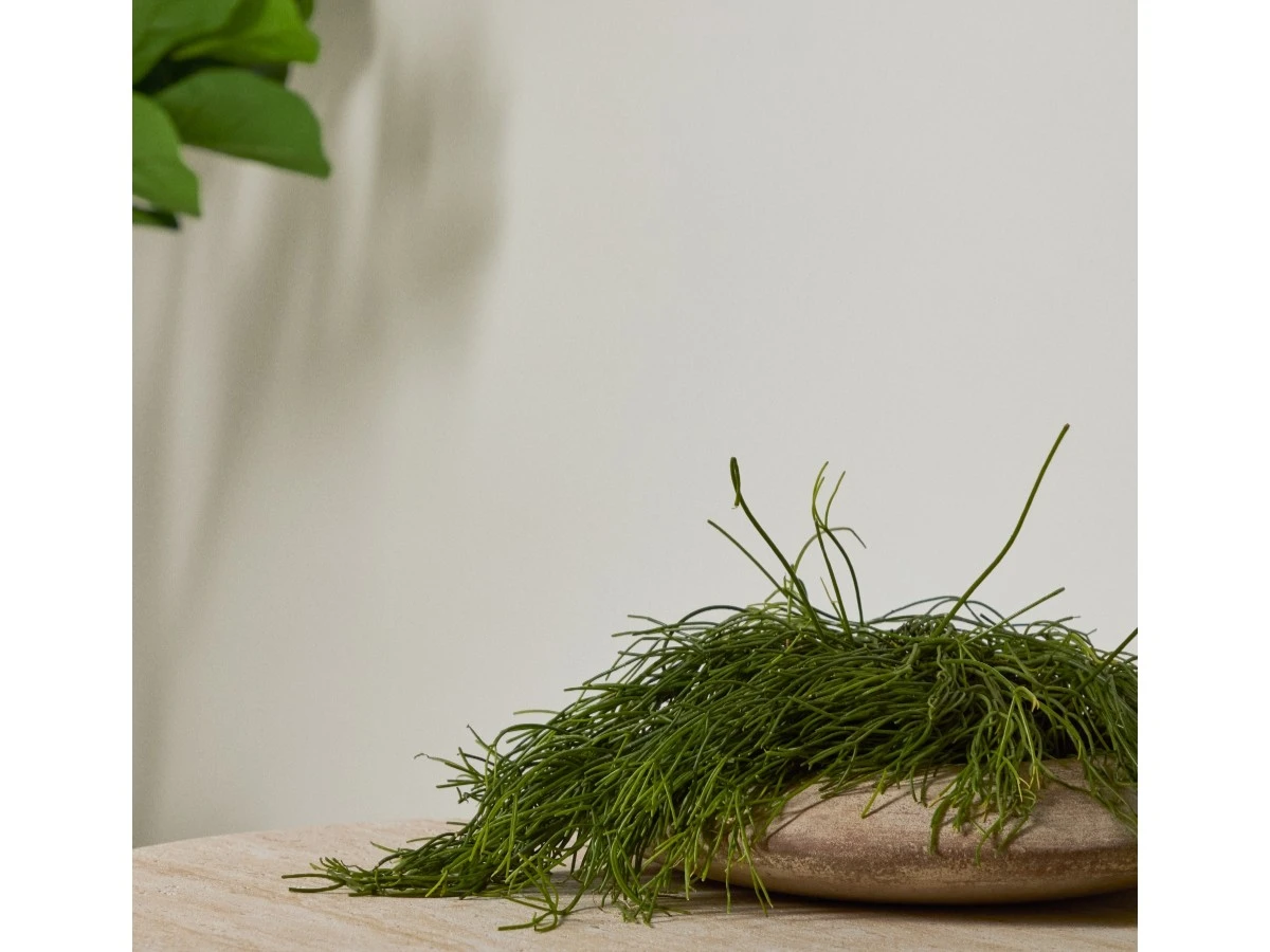 Кашпо Rivor 962250