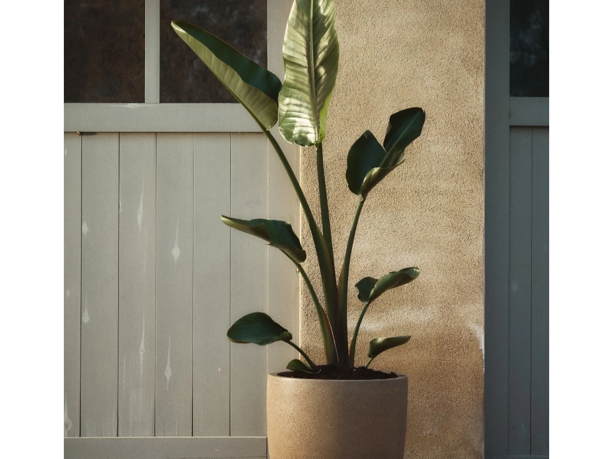 Кашпо Selvi песчаник светло-коричневого 962279