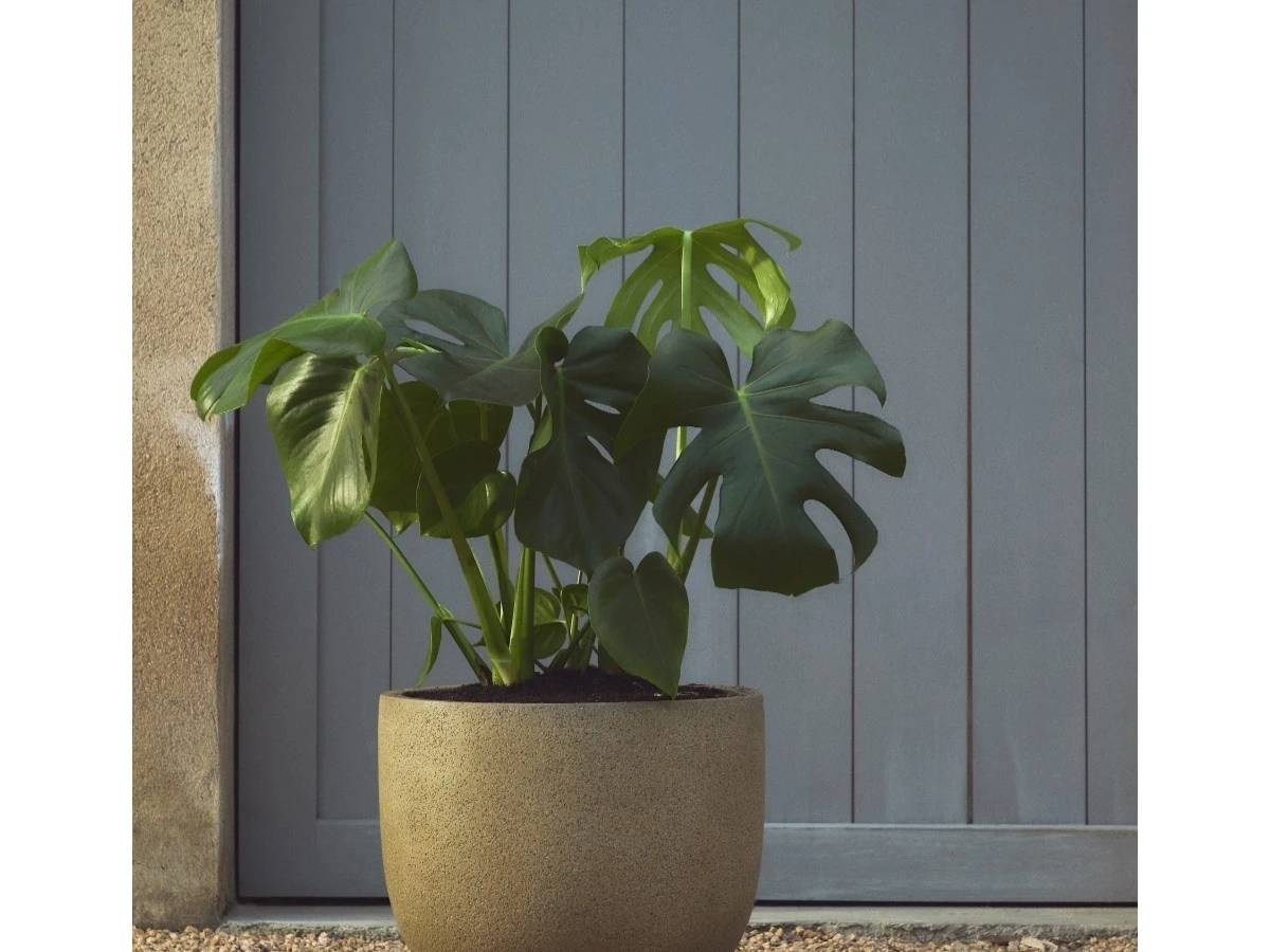 Кашпо Selvi песчаник светло-коричневого 962279  - фото 3