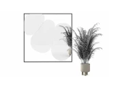 Зеркало Болле