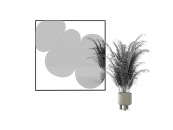 Зеркало Болле