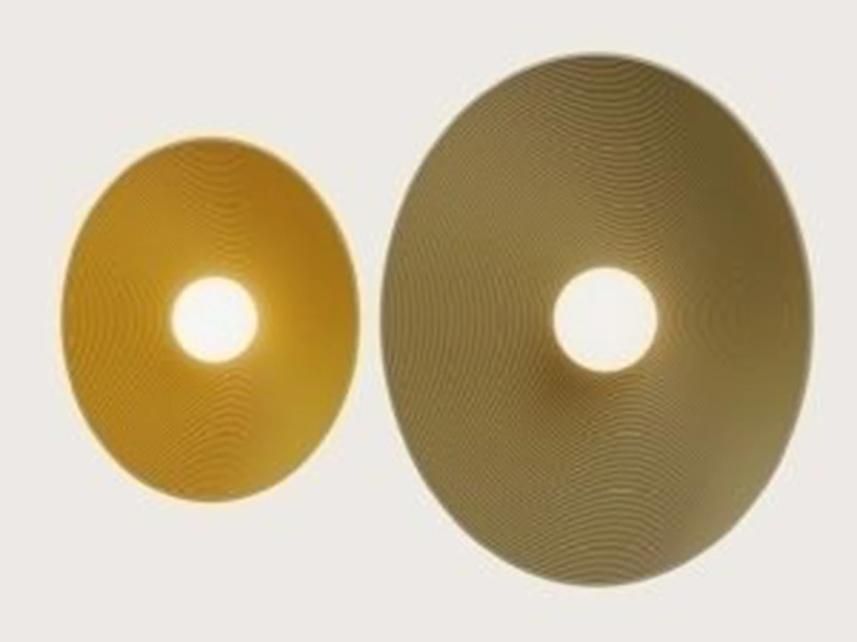 Настенный/потолочный светильник Dana 962996