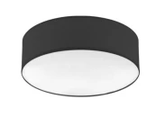 Потолочный светильник Tamb D30