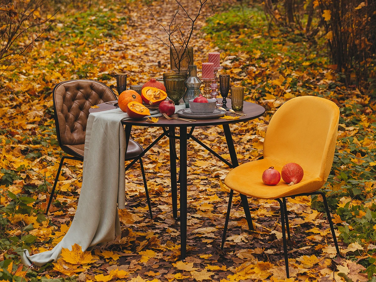 Комплект стульев Beetle 2 шт. 966291  - фото 9