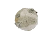 Бескаркасный пуфик