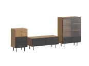 Композиция Frida 4