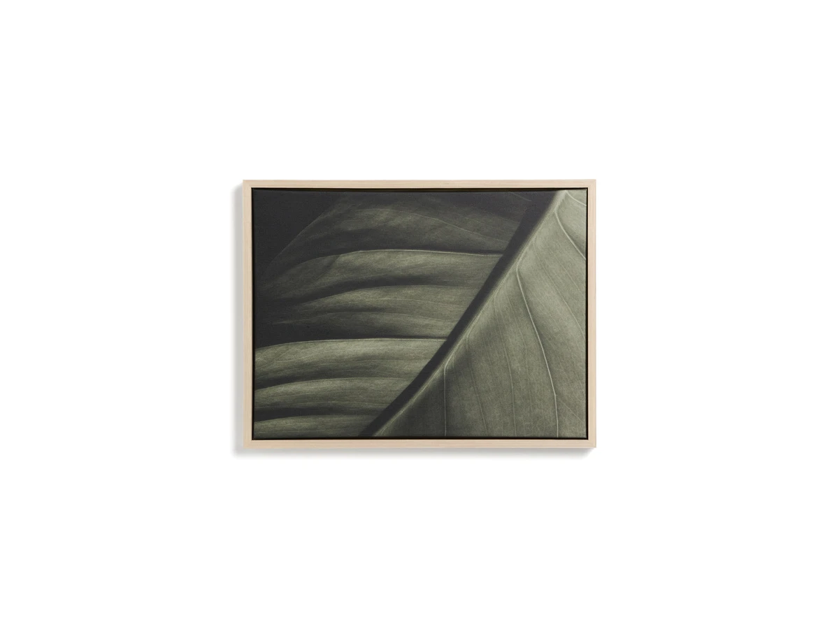 Фотография листа Foliae 32,5 x 42,5 см 977312