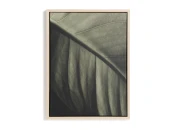 Фотография листа Foliae 32,5 x 42,5 см
