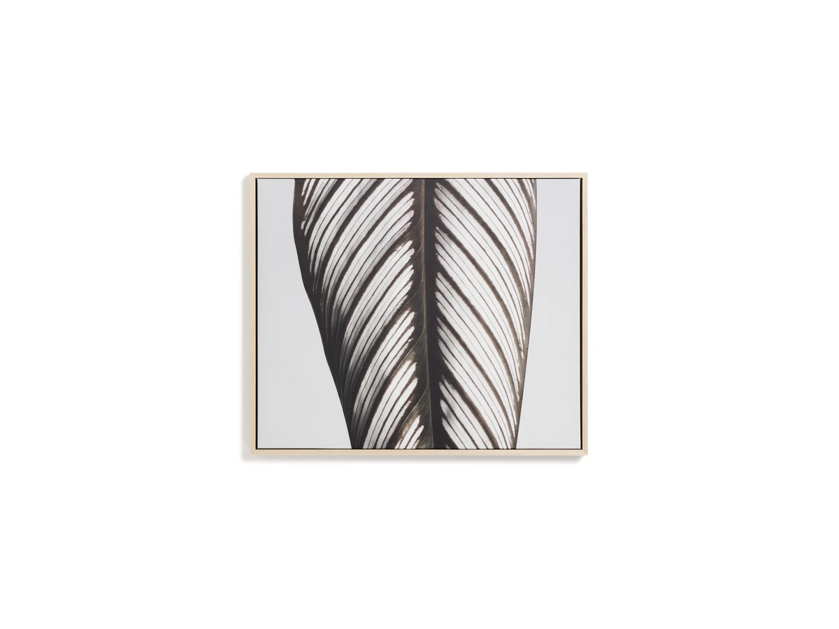Фотография листа Foliae 52,5 x 62,5 см 977337