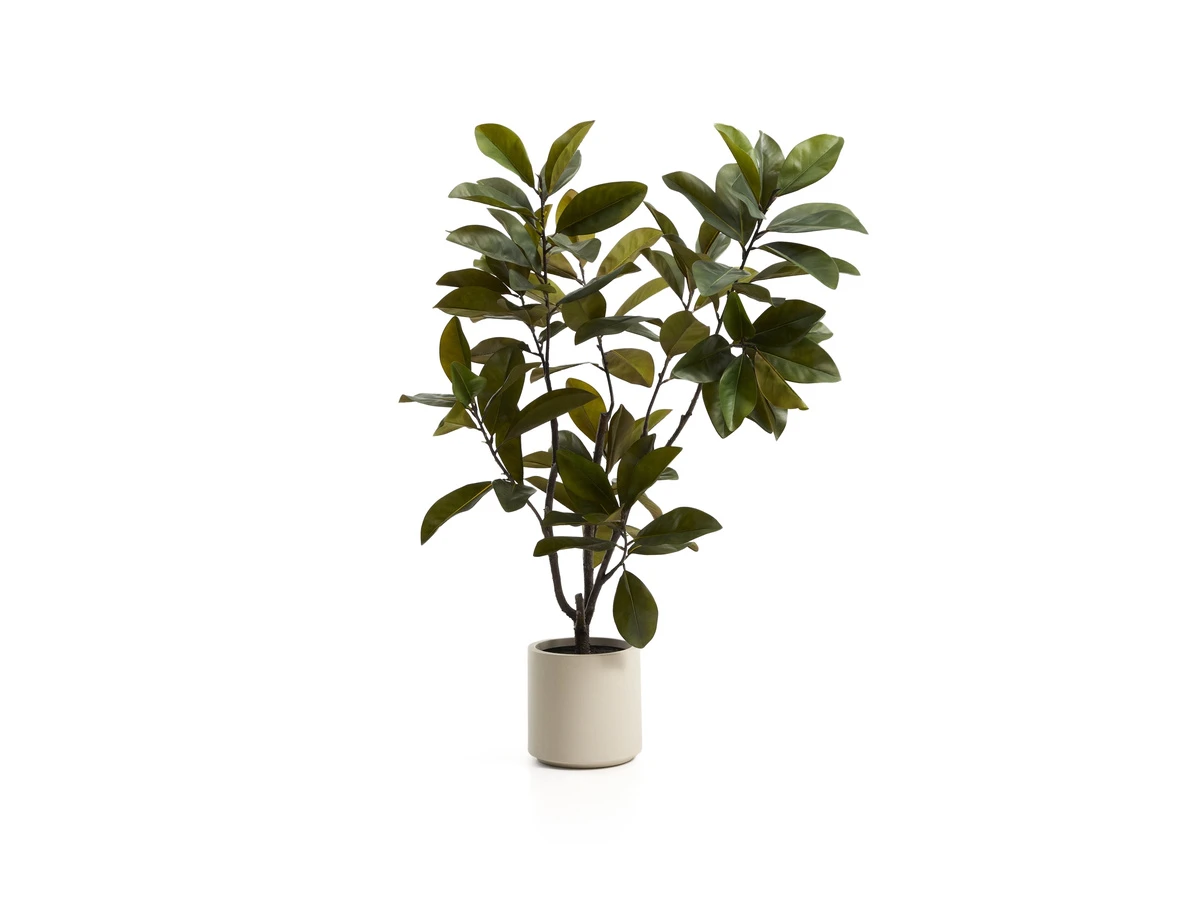 Искусственное растение Magnolia 977590