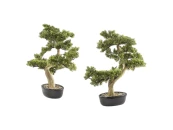 Искусственное растение Bankan - bonsai 2шт.