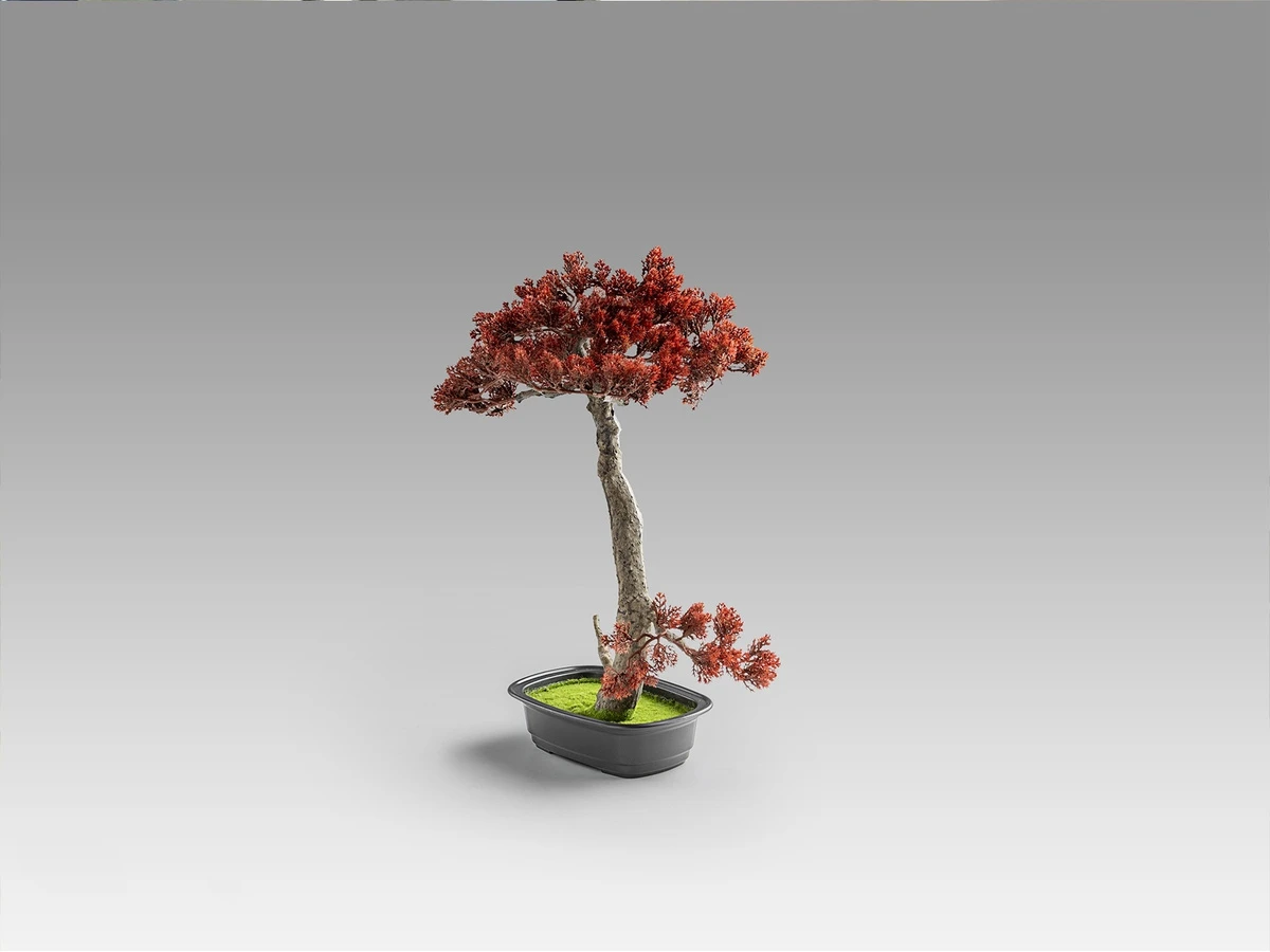 Искусственное растение Bujin-hi bonsai 2шт. 981367  - фото 5