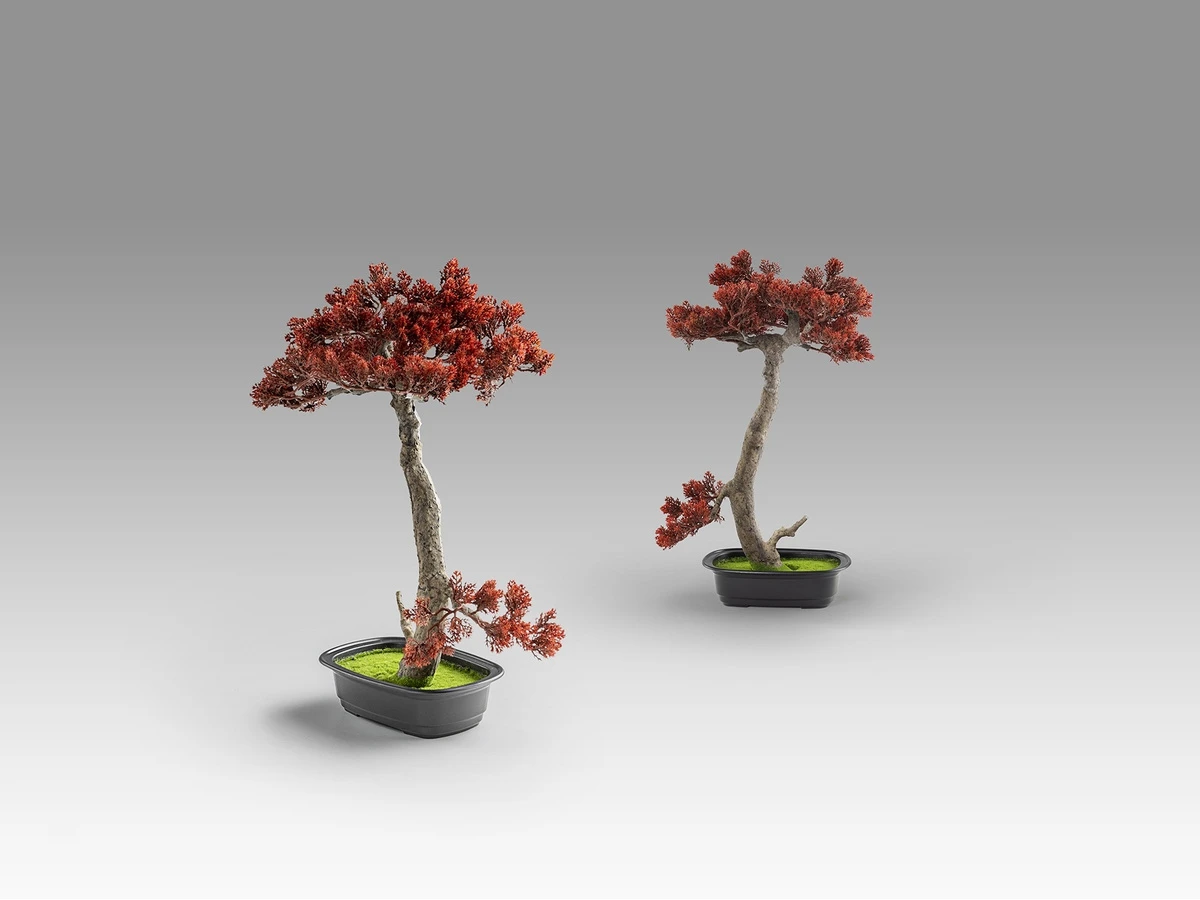 Искусственное растение Bujin-hi bonsai 2шт. 981367