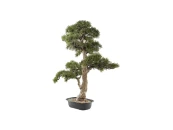 Искусственное растение Chokkan - bonsai