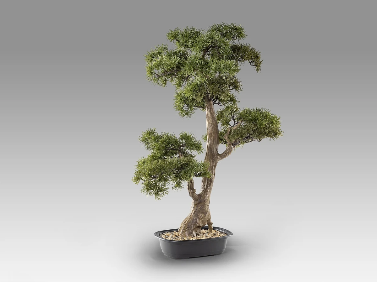 Искусственное растение Chokkan - bonsai 981385  - фото 6
