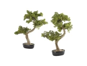 Набор Bankan II bonsai 2шт.