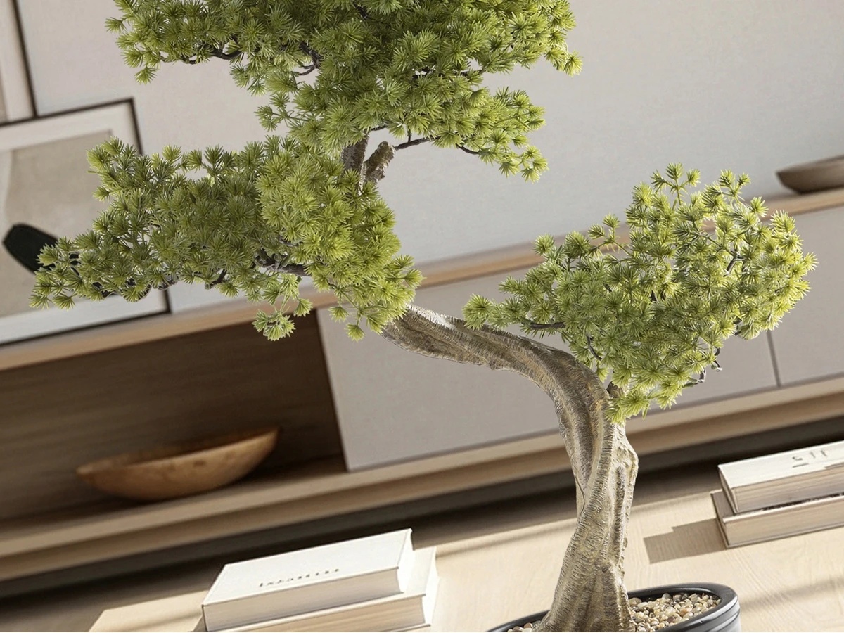 Набор Bankan II bonsai 2шт. 981396  - фото 3