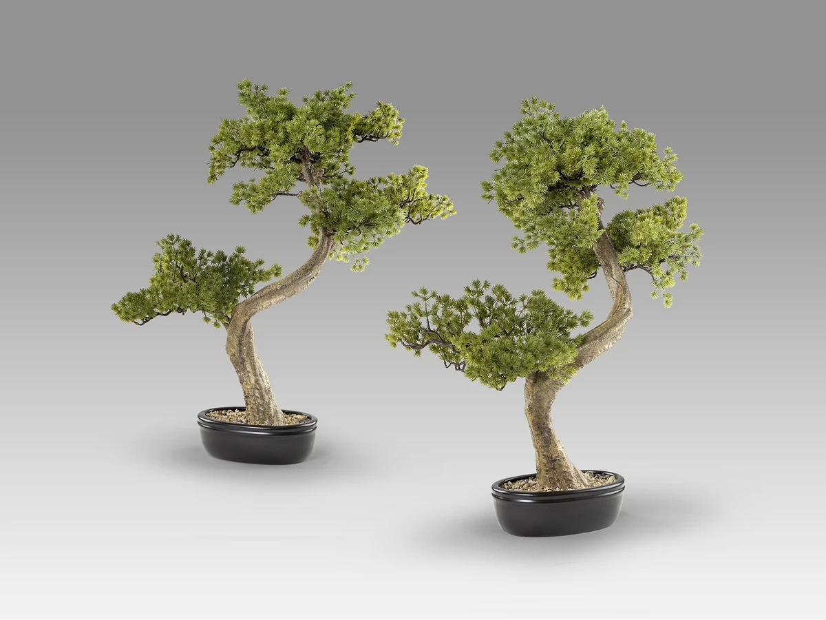 Набор Bankan II bonsai 2шт. 981396