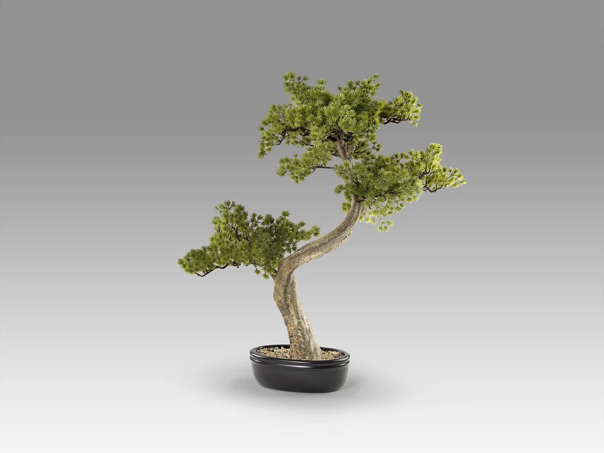 Набор Bankan II bonsai 2шт. 981396  - фото 6