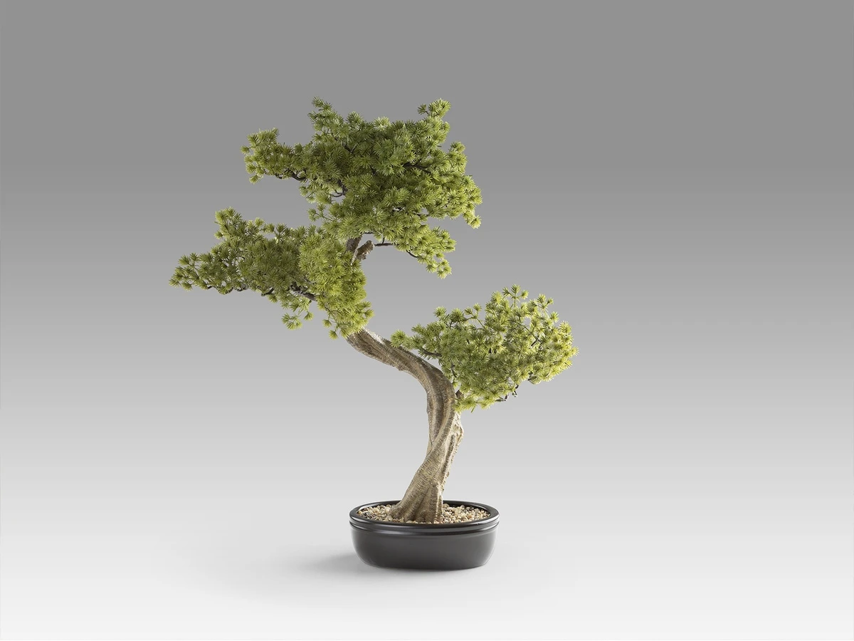 Набор Bankan II bonsai 2шт. 981396  - фото 4