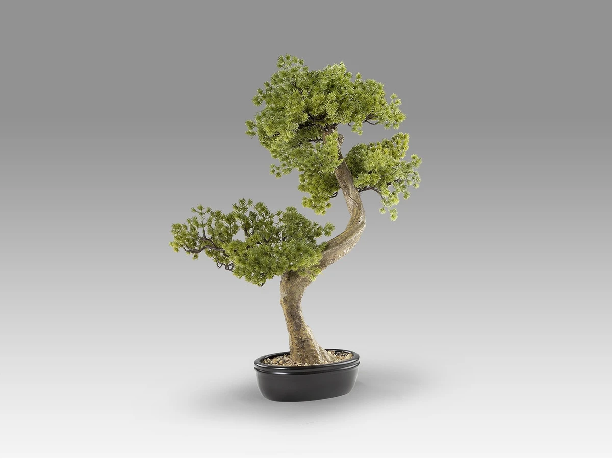 Набор Bankan II bonsai 2шт. 981396  - фото 5
