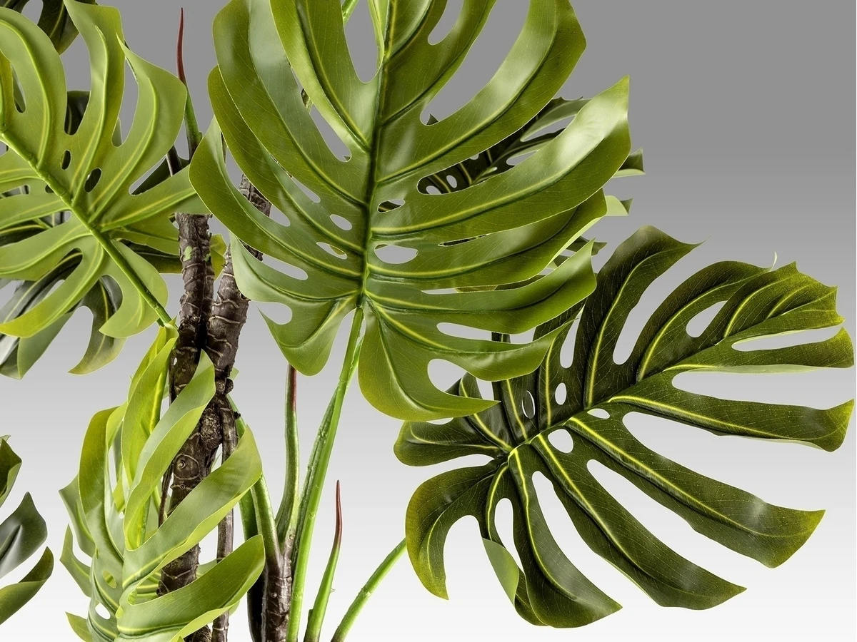 Искусственное растение Monstera 981406  - фото 5