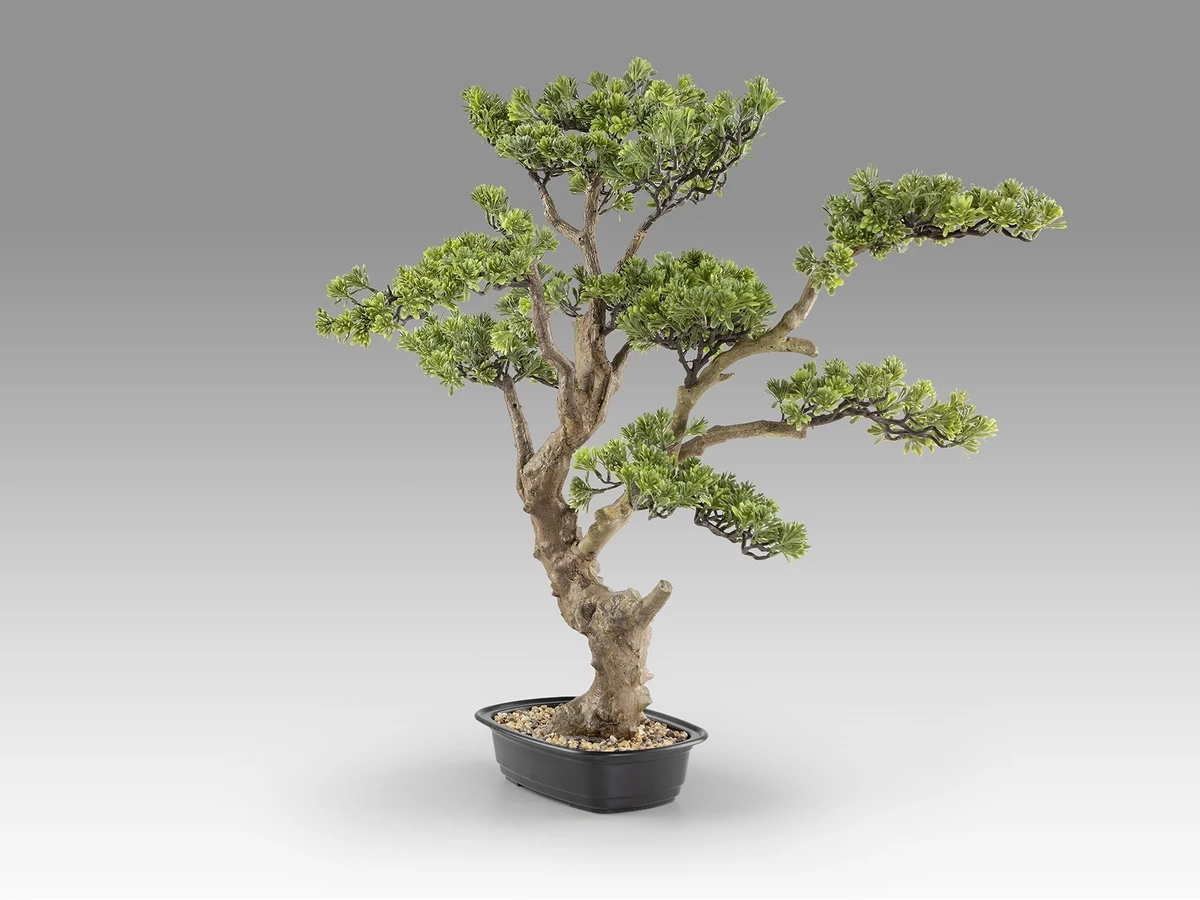 Искусственное растение Sokan - bonsai 981461  - фото 6