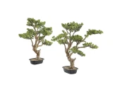 Искусственное растение Sokan - bonsai 2шт.