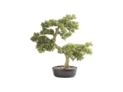 Искусственное растение Bankan - bonsai