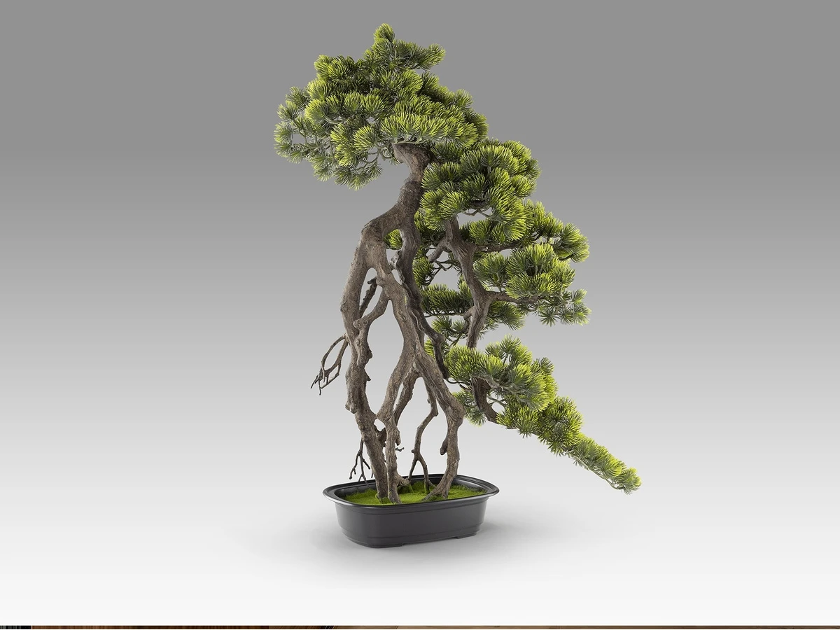 Искусственное растение Kengai bonsai 981568  - фото 5