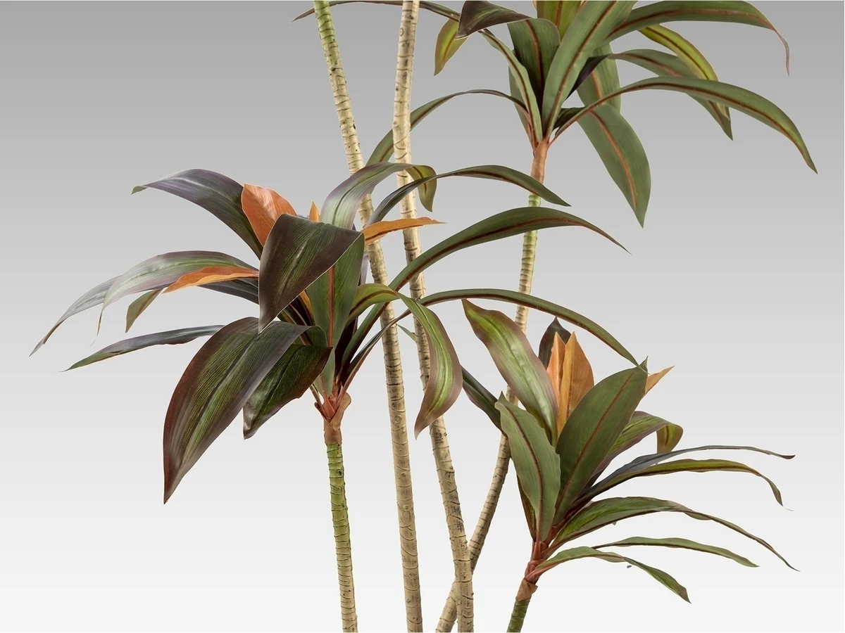 Искусственное растение Dracena roja 981590  - фото 5