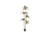 Искусственное растение Dracena roja