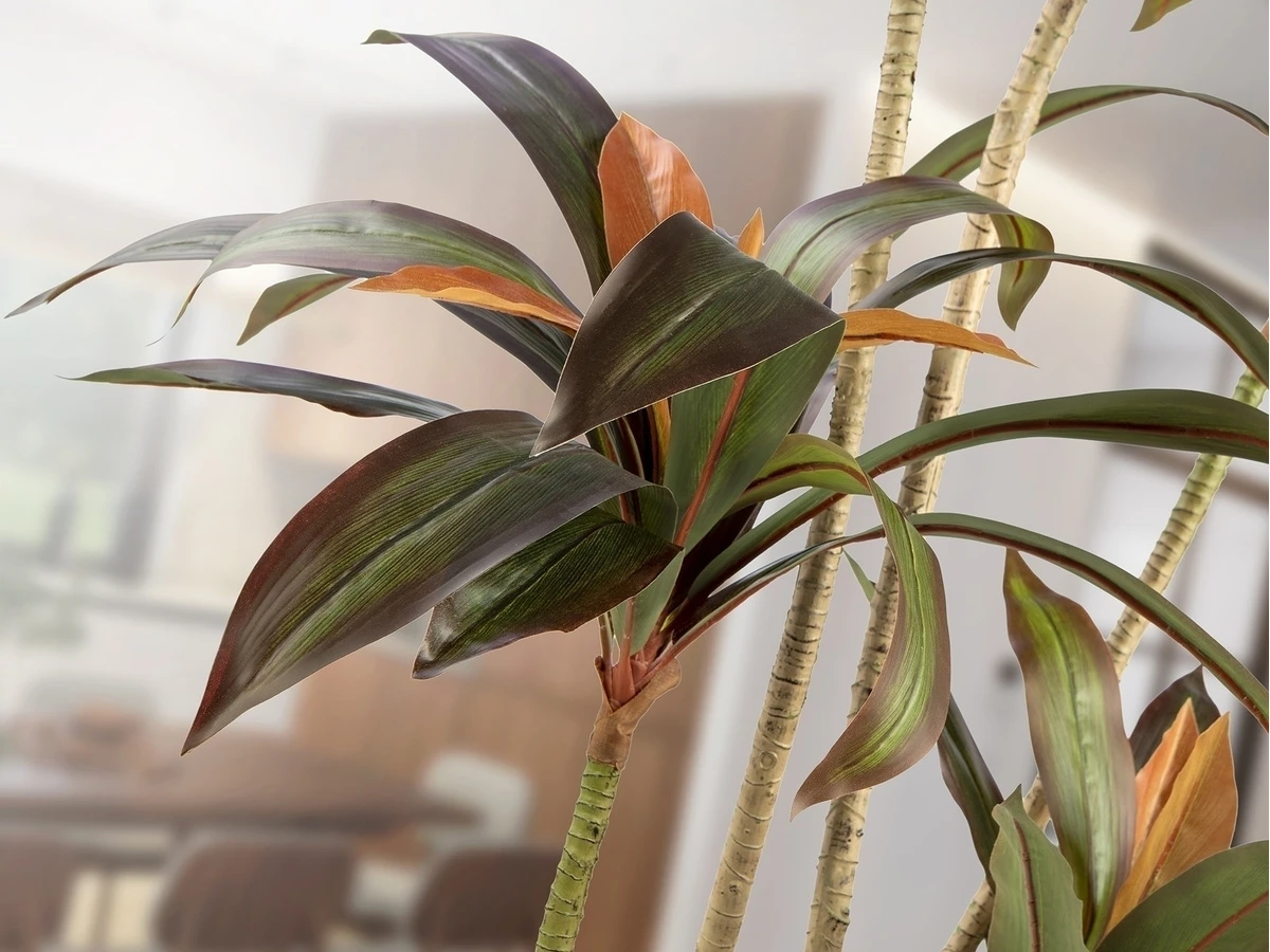 Искусственное растение Dracena roja 981590  - фото 4