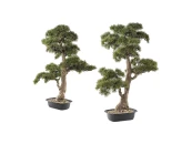 Искусственное растение Chokkan - bonsai 2шт.
