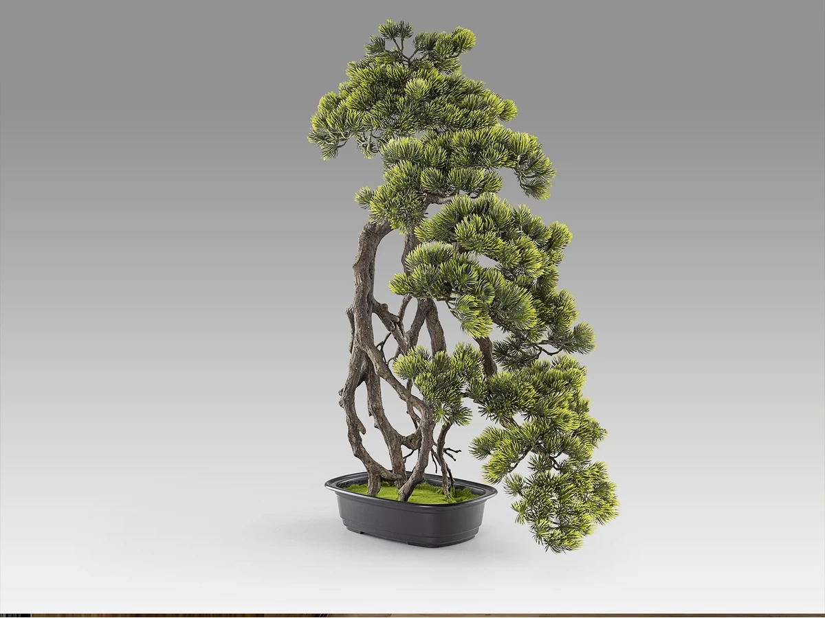 Искусственное растение Kengai bonsai 2шт. 981621  - фото 4