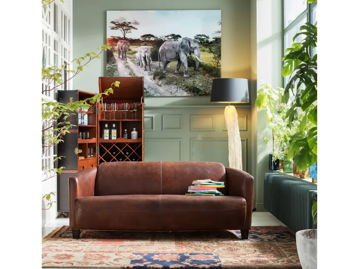 Диван Cigar Lounge 654020  - фото 7