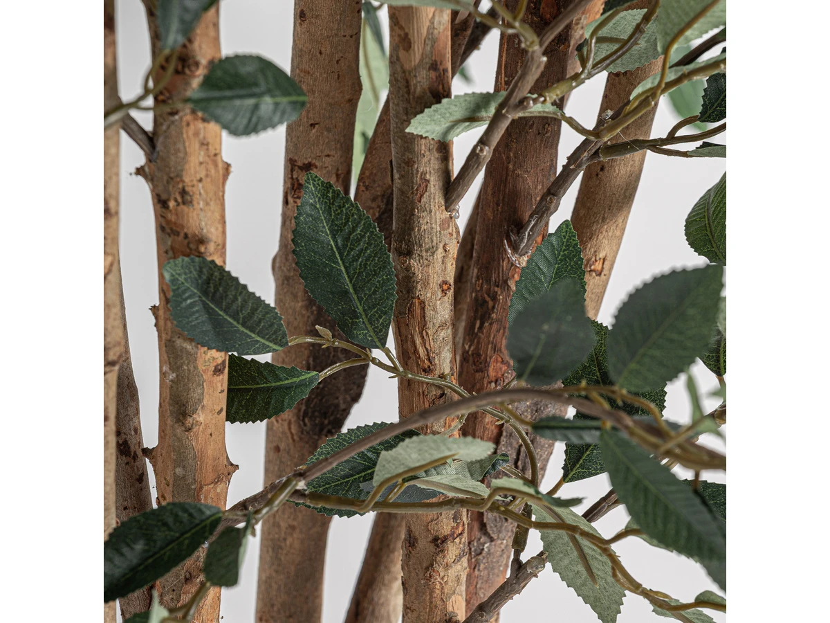 Искусственное растение FICUS 37730 989282