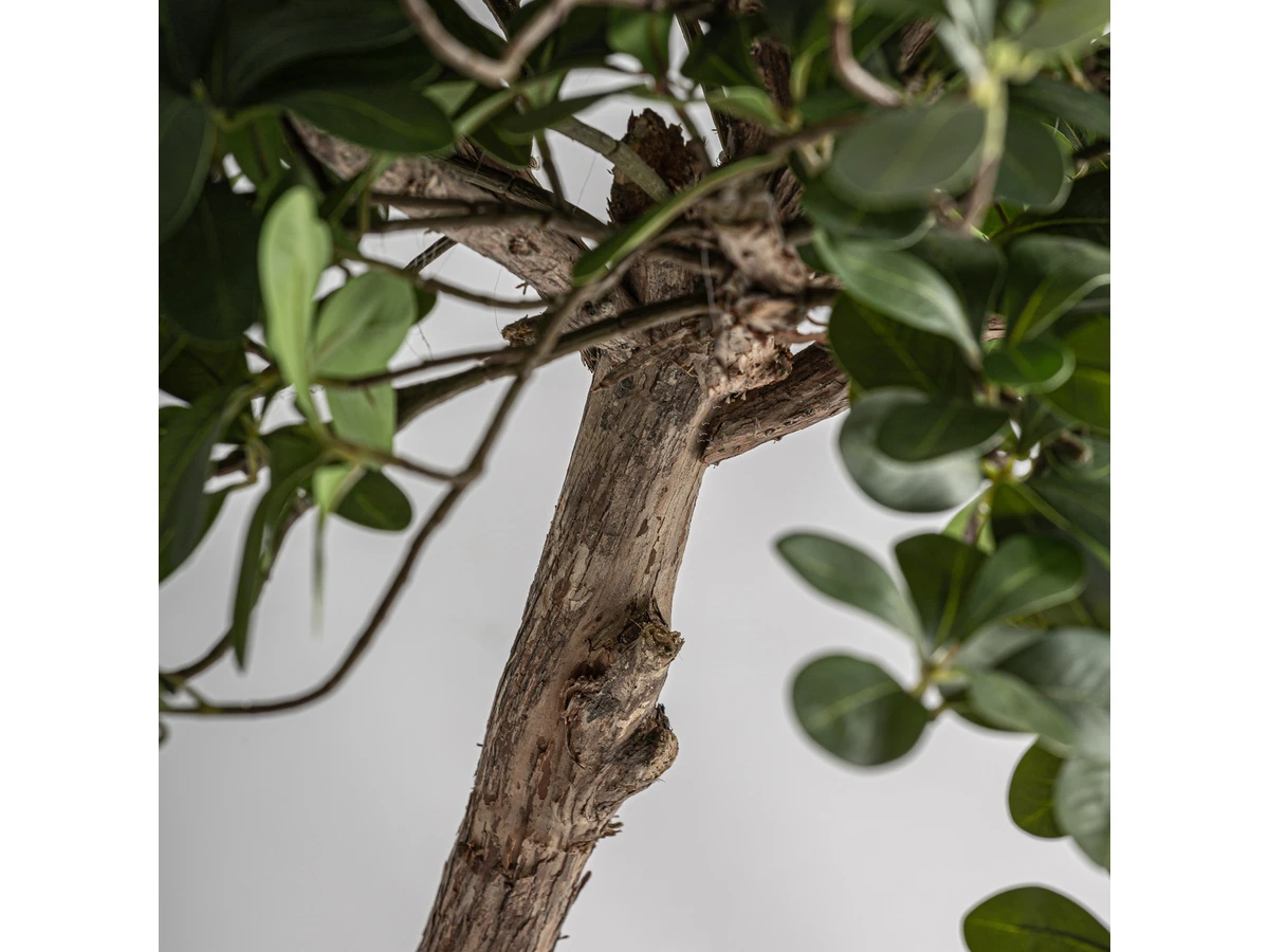 Искусственное растение FICUS 38081 989292
