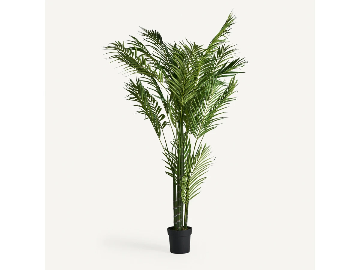 Пальмовое растение искусственное PALMERA 989295  - фото 4