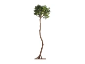 Искусственное растение FICUS 38083