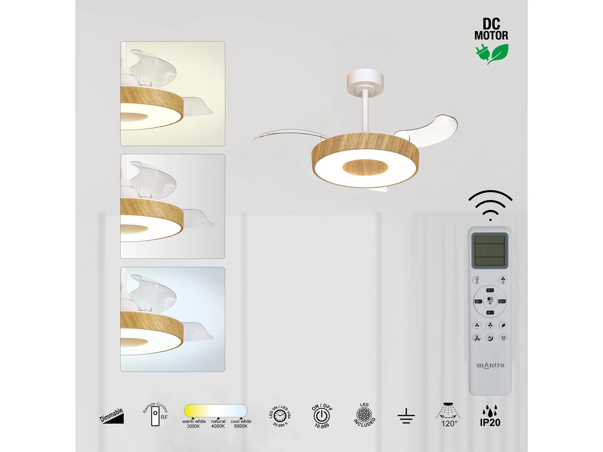 Люстра потолочная-вентилятор COIN FAN MINI SMART 990789  - фото 3