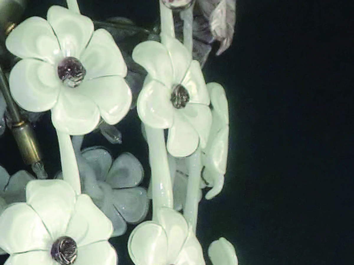 Потолочный светильник Gardenia 672372  - фото 2