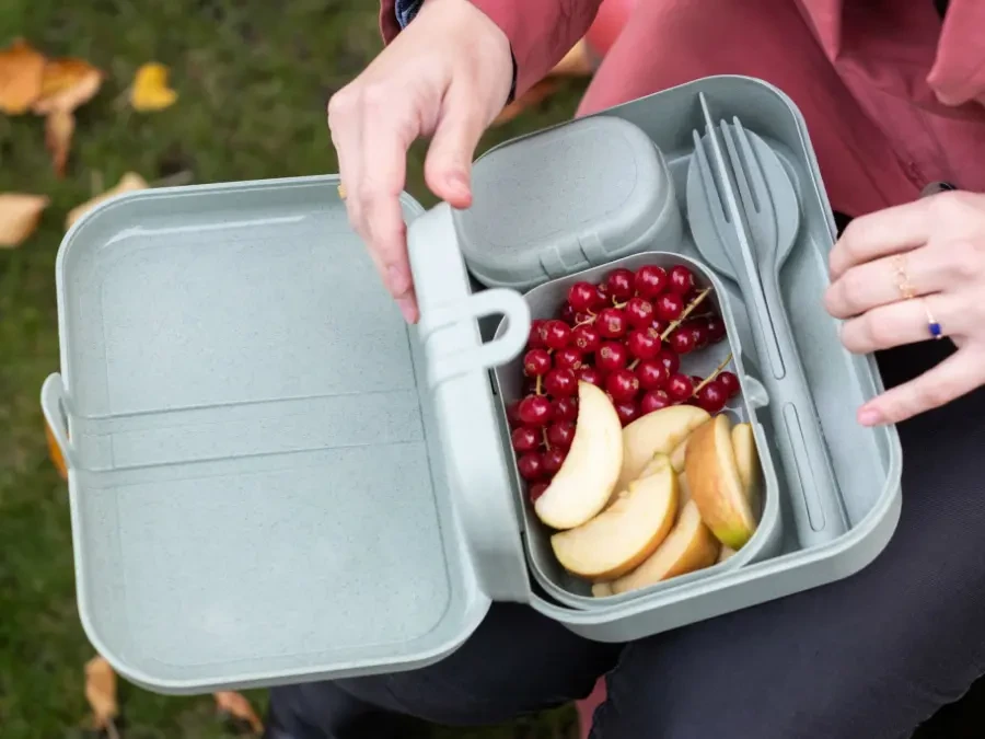 Набор ланч-боксов с приборами Pascal Organic 466324