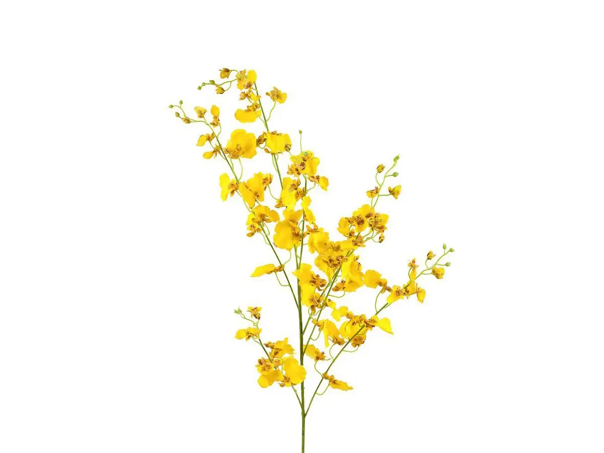 Орхидея жёлтая 700303