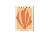 Постер MATISSE CUT-OUTS ORANGE - 21x30 см 703810