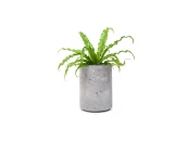 Кашпо из бетона Cylinder 205 Flower pots